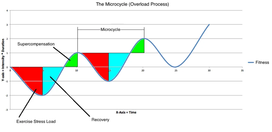 3.The theory of supercompensation in sports performance -improve performance-correct training-sports Soccer 11